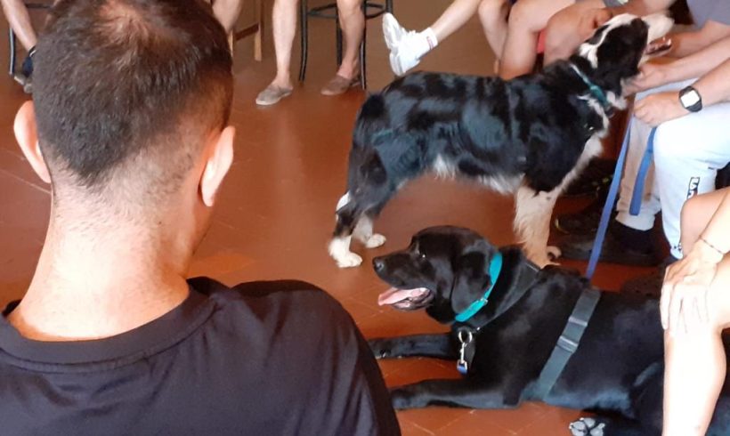 Teràpia assistida amb gossos a la comunitat terapèutica